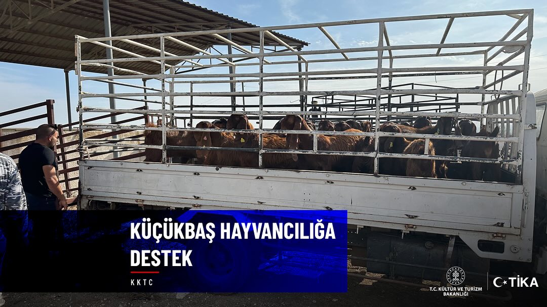 TİKA, KKTC'deki hayvancılık sektörünü destekliyor