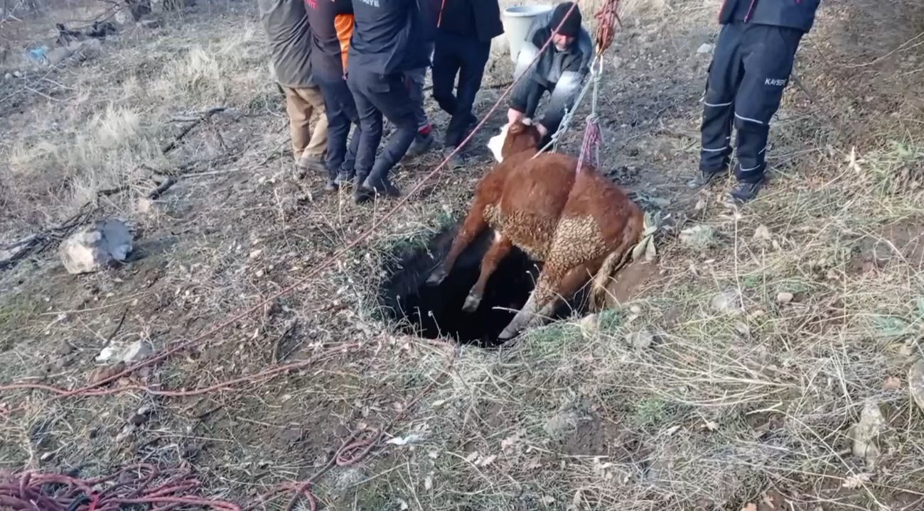 Kayseri'de İtfaiye Ekipleri Sıkışan Buzağıyı Kurtardı