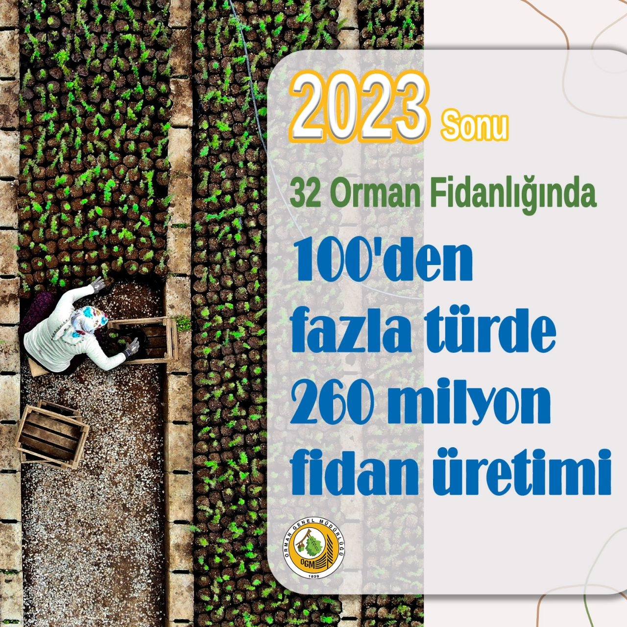 Türkiye'de milyonlarca fidan üretildi, yeşil vatan hedefine bir adım daha!