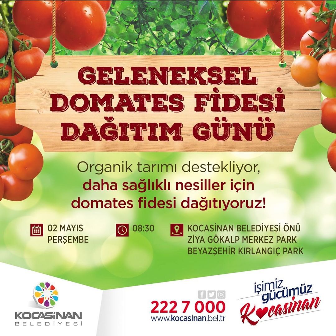 Bahar Aylarında Domates Fidesi Dağıtım Etkinliğiyle Bahçıcılık Sezonu Başlıyor