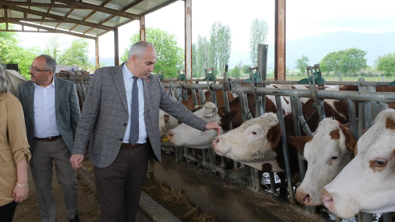 İl Tarım ve Orman Müdürü, Yerel Çiftçinin İşletmesini Ziyaret Etti