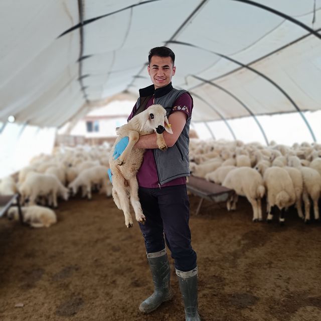 Malatya Tarım ve Orman Müdürlükleri, Hayvan Sağlığını Korumak İçin Aşılama ve Küpeleme Çalışmalarını Sürdürüyor