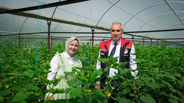 Ziraat Mühendisi Halime Erden'in Başarılı Sera Projesi Ziyaret Edildi