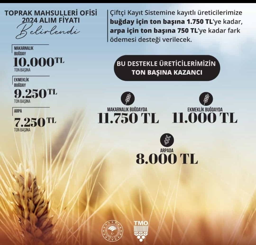 Açıklandı: Hububat Taban Fiyatları