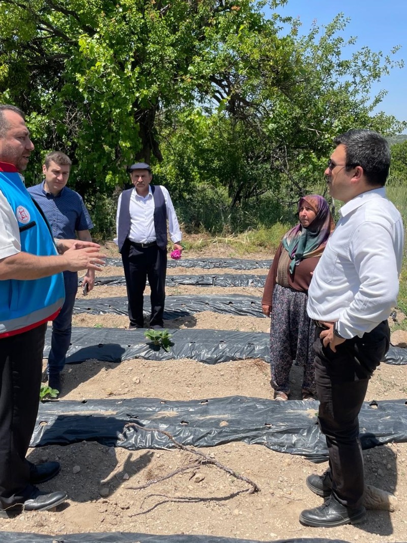 Kaymakam ve Yerel Yöneticiler Çilek Üreticisini Ziyaret Etti