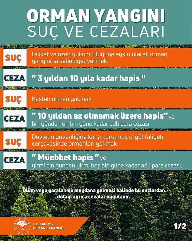 Sıcak Hava ve Orman Yangınları