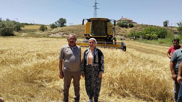 Prof. Dr. Filiz Kılıç Avanos'ta Hasat Çalışmalarına Katıldı