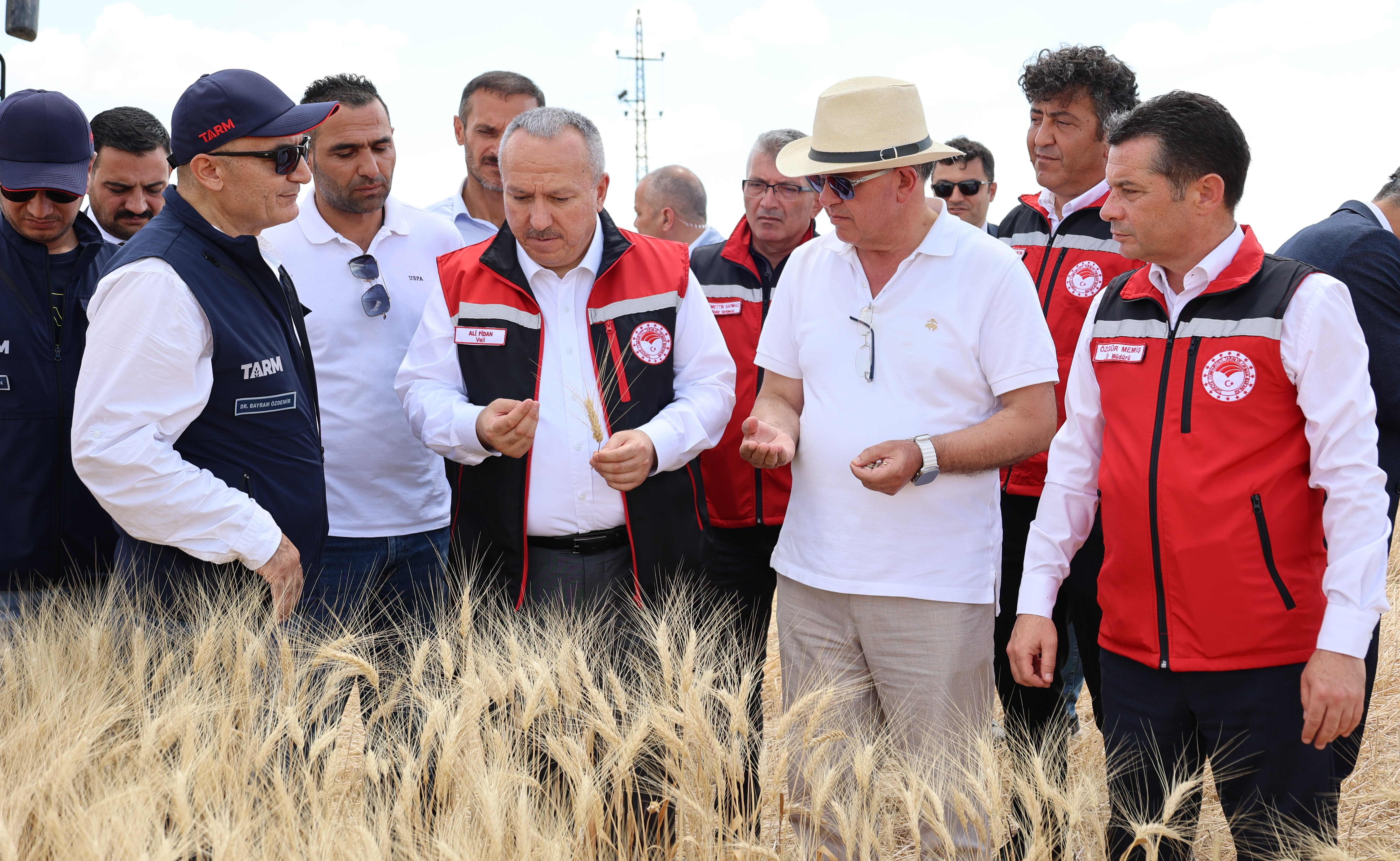 ÜRETİM, HASAT, BEREKET.