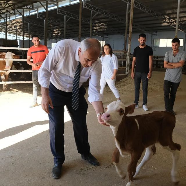 Malatya Tarım İl Müdürlüğü, Pütürge İlçesinde Bir Hayvancılık İşletmesini Ziyaret Etti