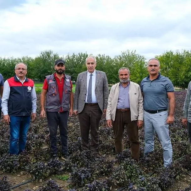 Malatya İl Tarım ve Orman Müdürü Sebze Üreticilerini Ziyaret Etti