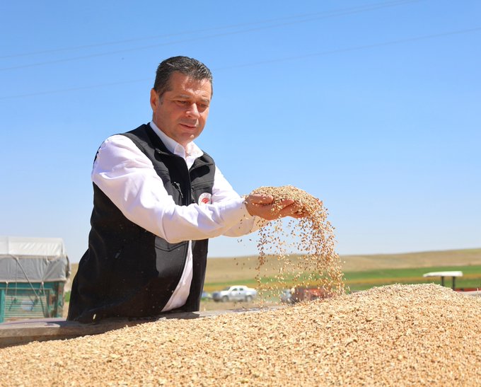 Sertifikalı Tohum Üretim Desteği İçin Başvurular Devam Ediyor