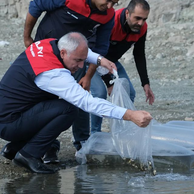 
    Malatya'da Kapıkaya Barajı'na Sazan Yavrusu Bırakıldı
  