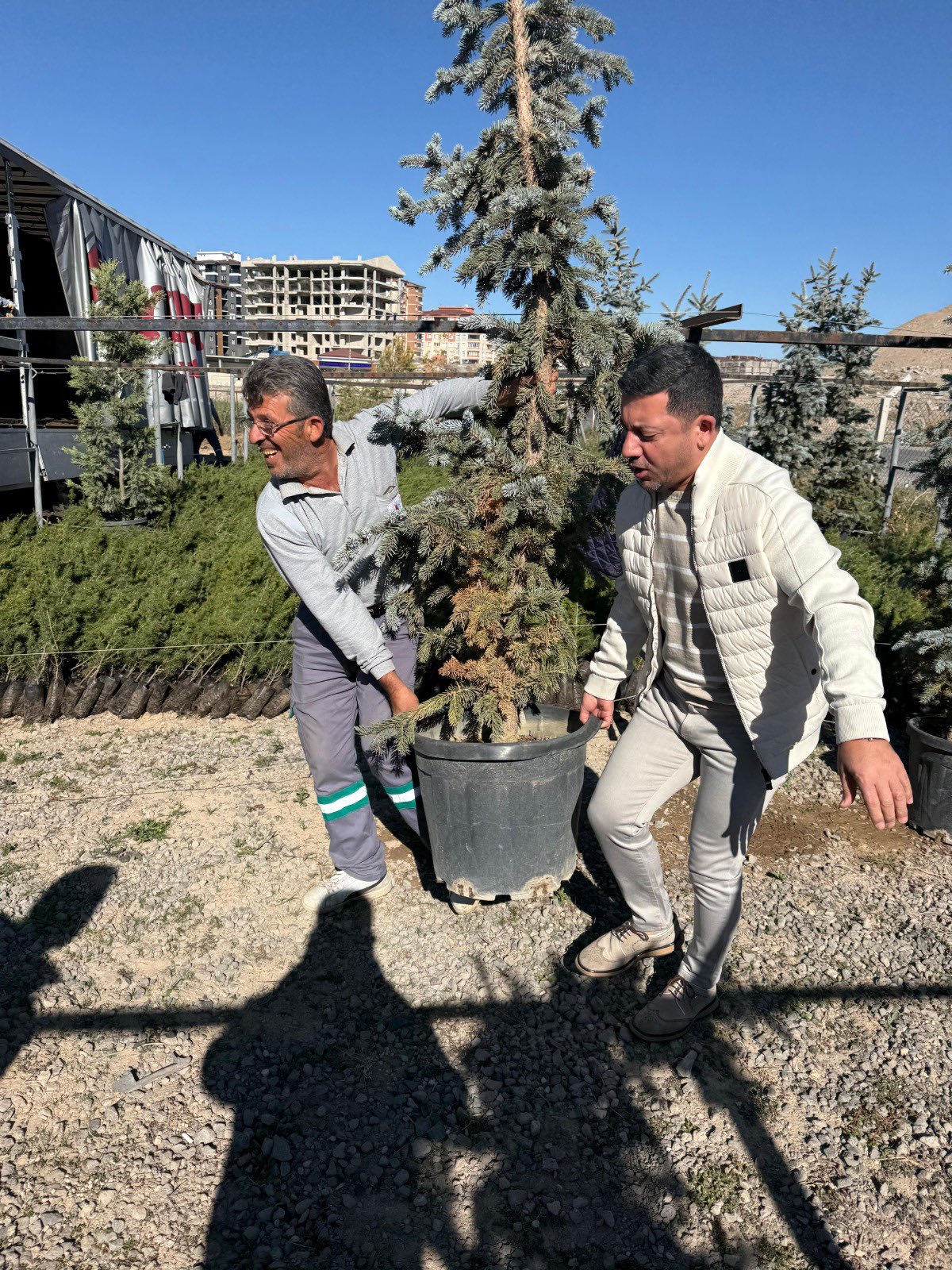 Nevşehir'de Tarihinin En Büyük Ağaçlandırma Seferberliği Hazırlıkları Başladı