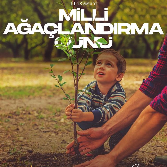 Milli Ağaçlandırma Günü: Doğanın Korunması ve Ağaçlandırma Çalışmaları