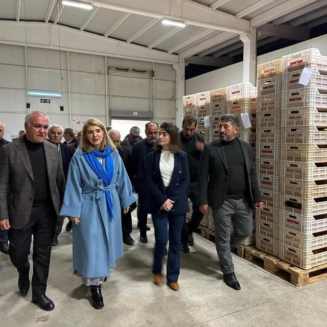 AK PARTİ Milletvekili İnanç Siraç Kara Ölmeztoprak, BAKTAR Kayısı Fabrikası'nı Ziyaret Etti