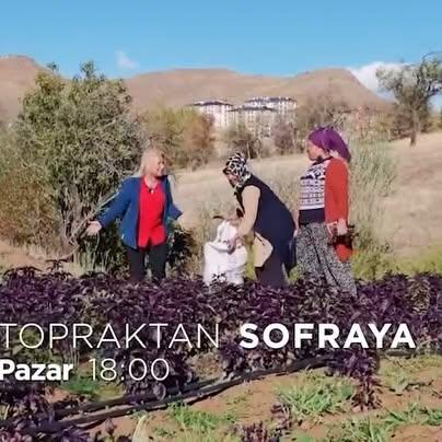 Arapgir’de Ülke TV’de Topraktan Sofraya Programı Yayınlanacak
