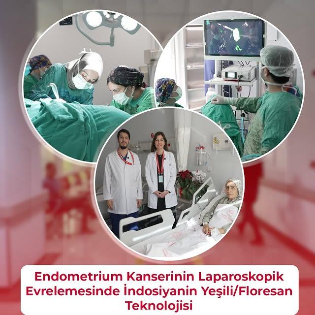 Endometrium Kanseri Tedavisinde Yenilikçi Teknoloji Kullanımı