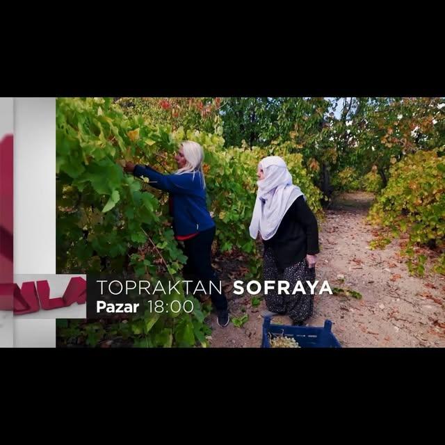 Topraktan Sofraya Programı, Sağlıklı Ürünlere Yolculuğu Devam Ettiriyor