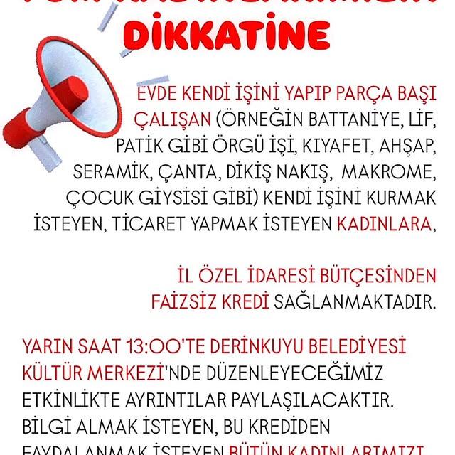 KOBİ'ye Kadın Destek Programı ile 10 bin TL Kredi