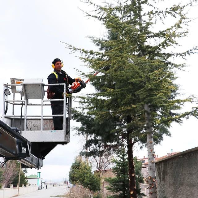 Derinkuyu’da Ağaç Budama Çalışmaları Devam Ediyor