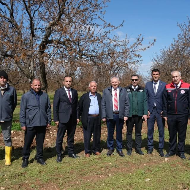 Tarım Bakanı Yumaklı Malatya'da Kayısı Bahçelerini İnceledi