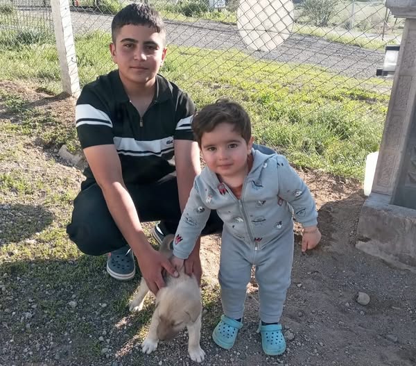 Talas Belediyesi'ne Bağlı Pati Evi'nden Minik Dostlar Yeni Yuvalarına Kavuşuyor