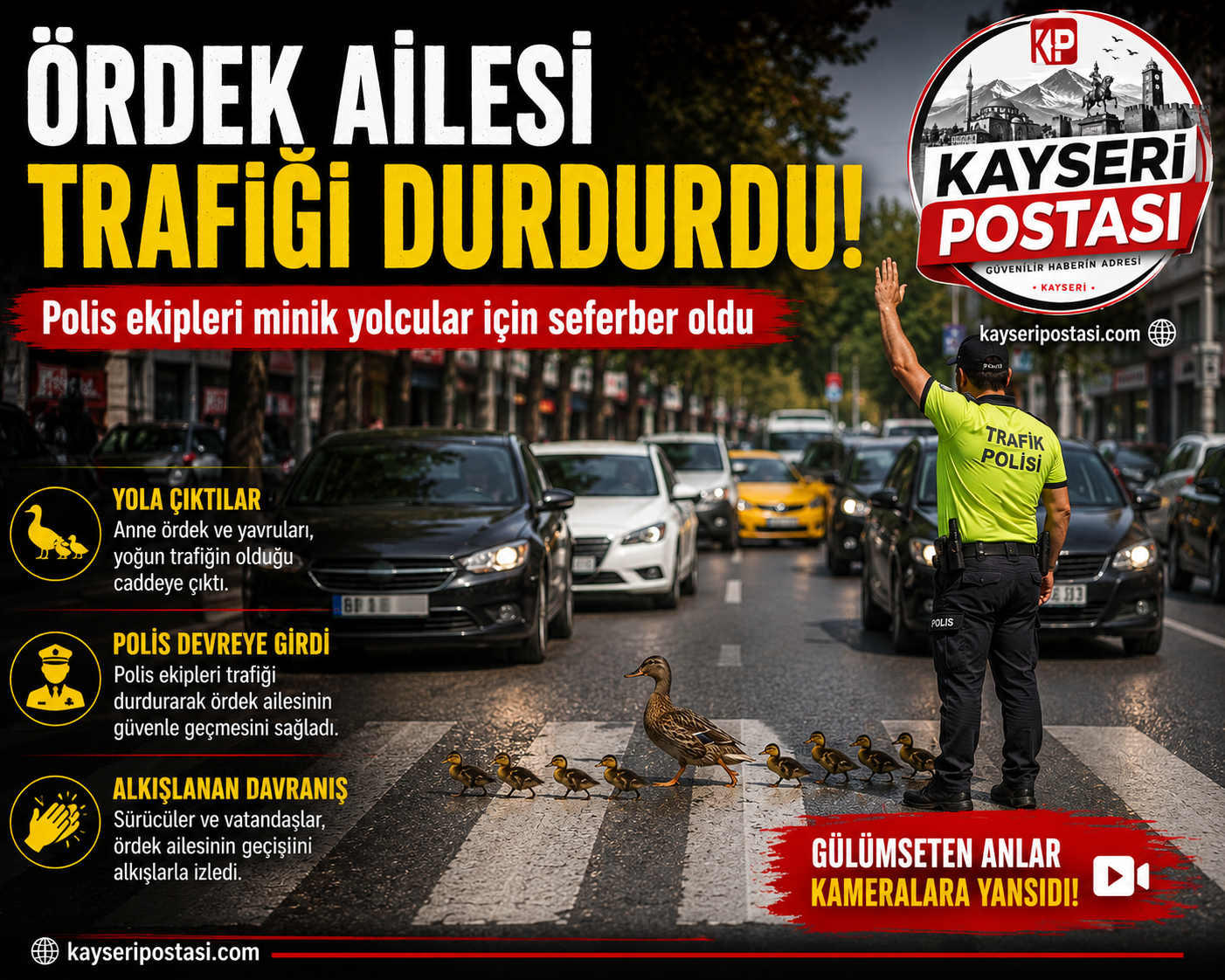 Trafikte Gülümseten Anlar! Ördek Ailesine Polis Yol Verdi